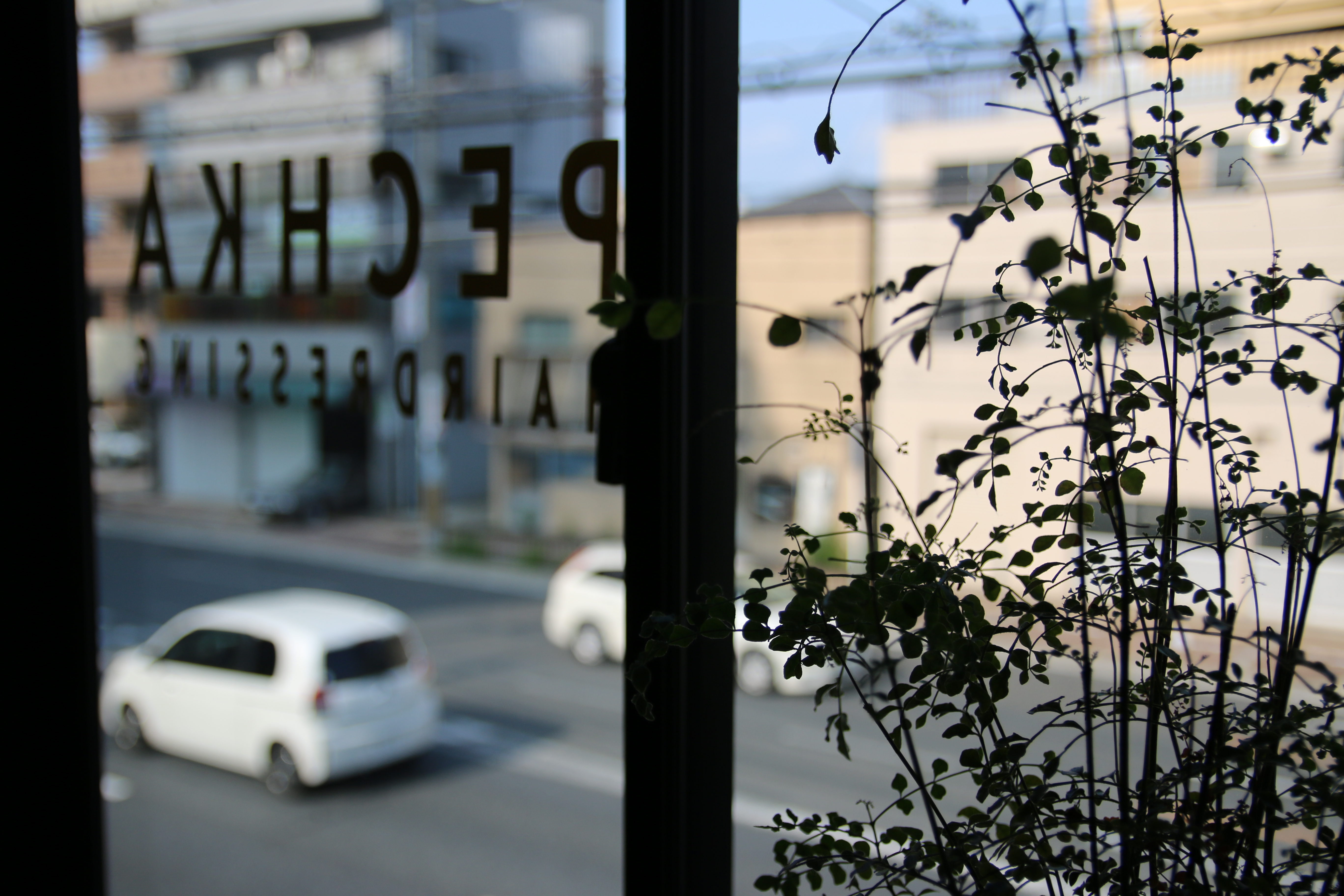 PECHKAの窓に映る店名と、光を受ける窓辺の植物